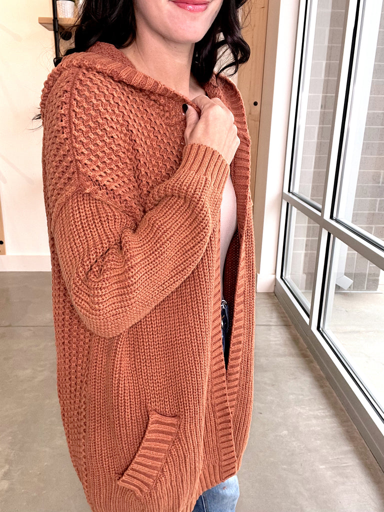 Hoodie Washed Sweater Cardigan in Chestnut